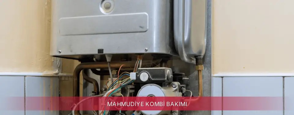 Mahmudiye İlçemi Maktek Kombi Bakımı